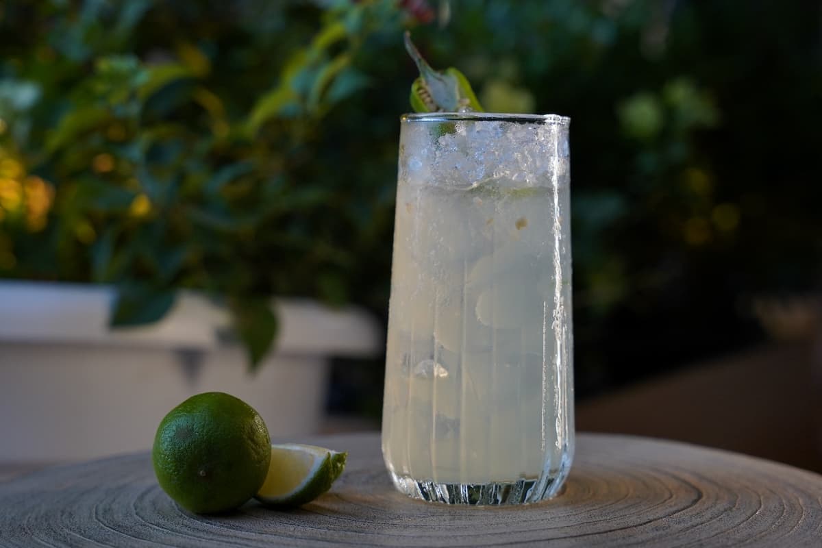 2db96f43027c4a27b5290335f70b2c1d