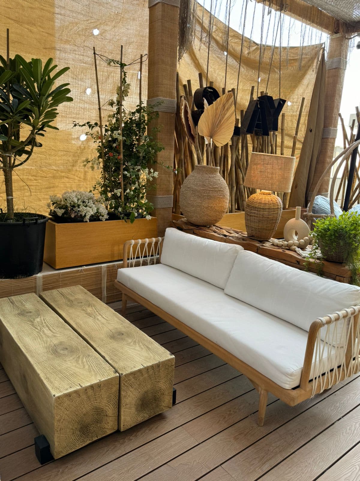 WhatsApp Image 2024 11 22 at 15.49.33 1